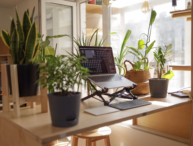 Desk set up with a laptop on a stand, keyboard and mouse, and 6 green plants